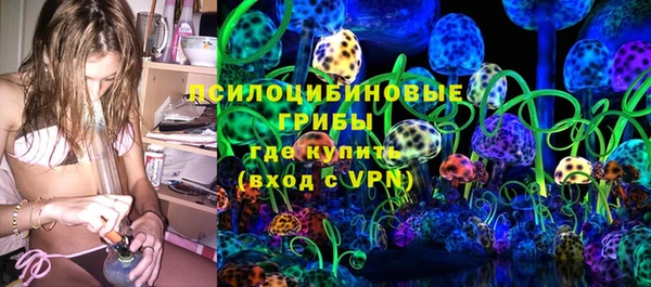 PSILOCYBIN Белокуриха